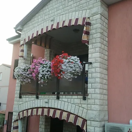 Apartments Daniela Novigrad  Exterior photo
