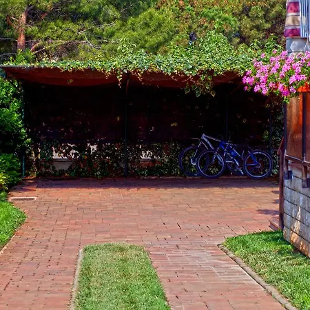 Apartments Daniela Novigrad  Exterior photo