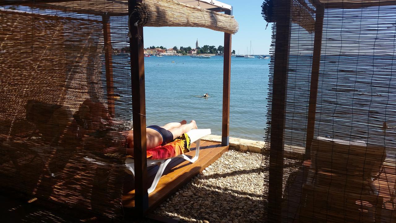 Apartmán Daniela Novigrad (Istria)