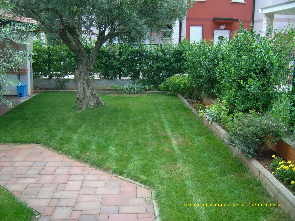 Daniela Apartament Novigrad Istria